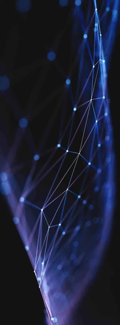 Competitive Programming